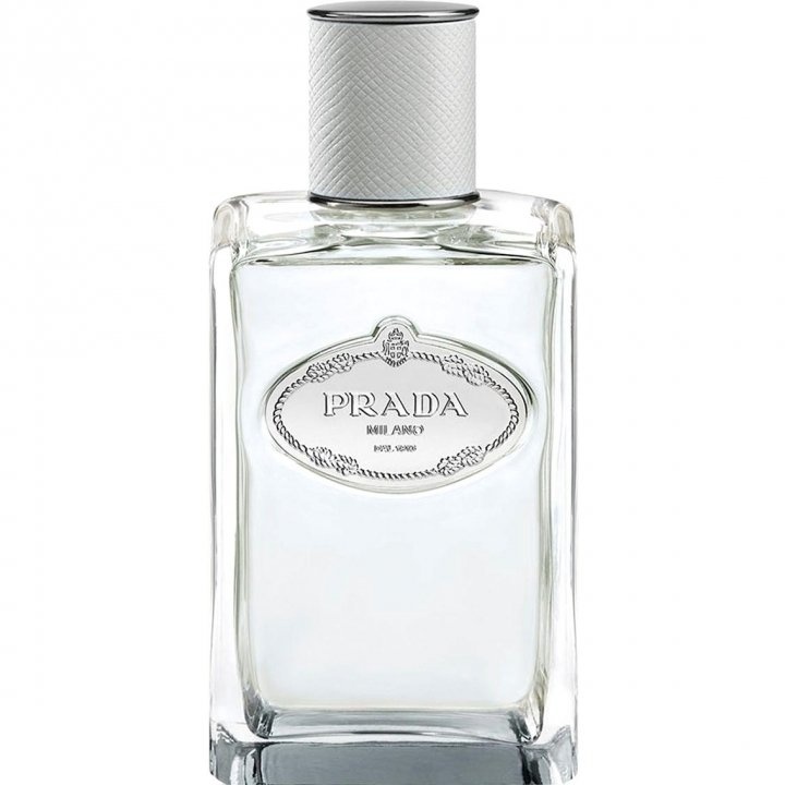 Infusion d'Iris Cèdre